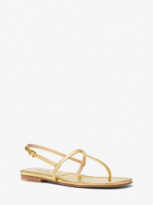 Women Michael Kors Ali Metallic Python Embossed Leather Sandals Gold | FRYVSX-695