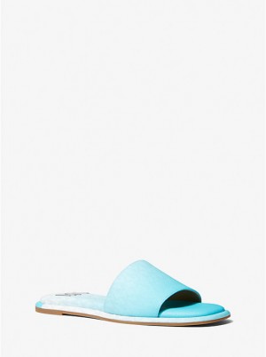 Women Michael Kors Hayworth Ombré Logo Slide Sandals Blue | FASPNV-246